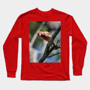 House Finch Hello You Long Sleeve T-Shirt